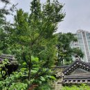 마포, 걷고싶은길 3코스 이미지