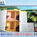 파프리카안경 수영점 이미지