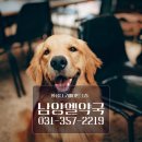 엘 약국 이미지