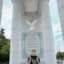 테미의 경희대학교 입학😄 이미지