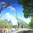 수피아플라워 이미지