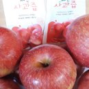 박달재농원 이미지