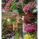 아름다운 정원을 꿈 이미지