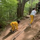 리리유치원 이미지