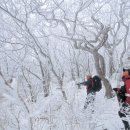 캠프원 관광농원 이미지