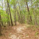 수미정사 입구 이미지