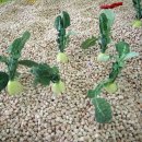 북한강로 881 이미지