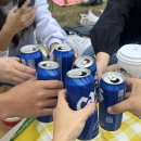 다시내보 이미지