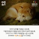 윤동물병원;약품출장진료전문 | 🔶 강아지 입양 절차 완벽 가이드