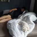 개스트하우스 말2 이미지