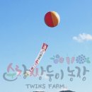 복흥면 체육공원 이미지