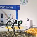 [초등1~2★2024년 기준] 뚜루뚜루와 함께하는 코딩놀이 | 겨울방학 아이와 가볼만한곳 체험형 서울 박물관 추천 Best3