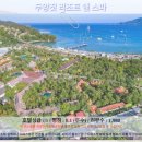 푸켓 여행 추천 호텔 후기: 두앙짓 리조트 앤 스파에서 힐링