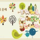 신비로-8 이미지