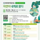 자연이묻다