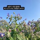 누리달아흐레