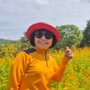 (사)한국문인협회「 이미지