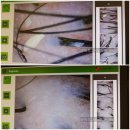(주)홈플러스 영통점 이미지