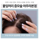 천안붙임머리증모술아우라 네이버블로그