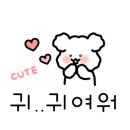 금화애견 이미지