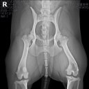 문산 동물병원 이미지