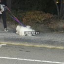 필승로(1) 이미지