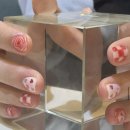 어푸네일(OPUU NAIL) 이미지