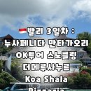 항신식당 | 발리 사누르 3일차 : 누사페니다 OK투어 더 메루 사누르 Koa Shala Pizzaria