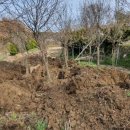 신월동020 이미지