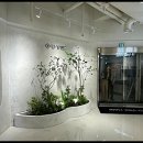 이브헤어라인 - 북구 | 이브헤어라인