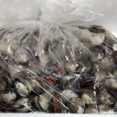 부일수산 이미지