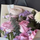 라포레 트라토리아 이미지