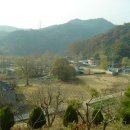 박사마을 이미지