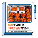 거제읍내시장 | 여행올거제｜생기가 넘쳐나는 거제면 장날 방문기! (거제읍내시장)
