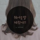 쉬크샵헤어 이미지