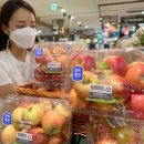 롯데마트 이미지