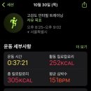 화랑농장 | 11월 근황🍁(겨울장박 결정!,메모리얼반지 제작,르무 rmu,약수 화랑막창,장충동 평양면옥,넷플 길모어걸스)