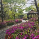 북한산조경개발 이미지