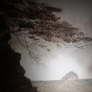 제주청년회 이미지