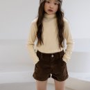 벨벳 이미지