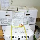 수미수미 이미지