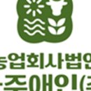 법인나주애인