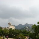 신기초등학교 이미지