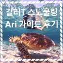 아리 | 길리 프라이빗 스노쿨링 “아리가이드” 추천후기