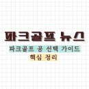 [파크골프 치는 법] 파크골프 공은 무엇을 사야할까? 이미지