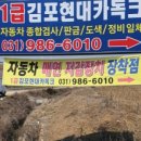 1급김포현대카독크 이미지