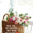 아름다운 행정사 이미지