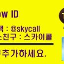 스카이콜