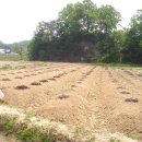 미정농장 이미지