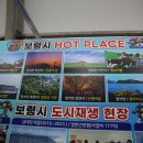 보령 만나
